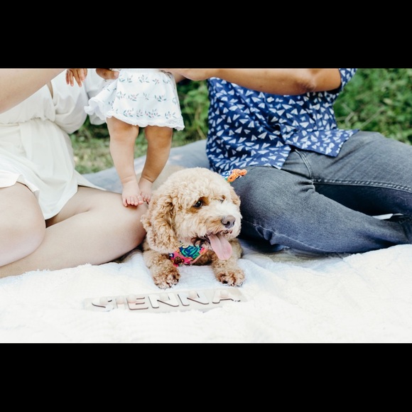 Meet your Posher, Nav - Picture 1 of 1